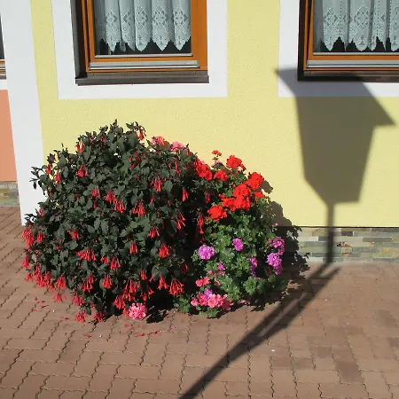 Apartment Gaestehaus Unterberger *