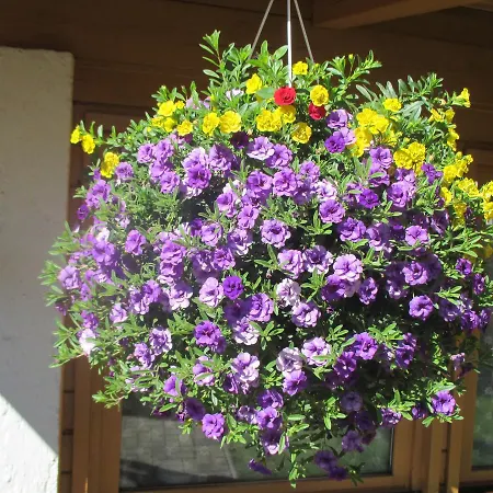 Bed & Breakfast Vermietung & Verpachtung Zellermoosstrasse 14